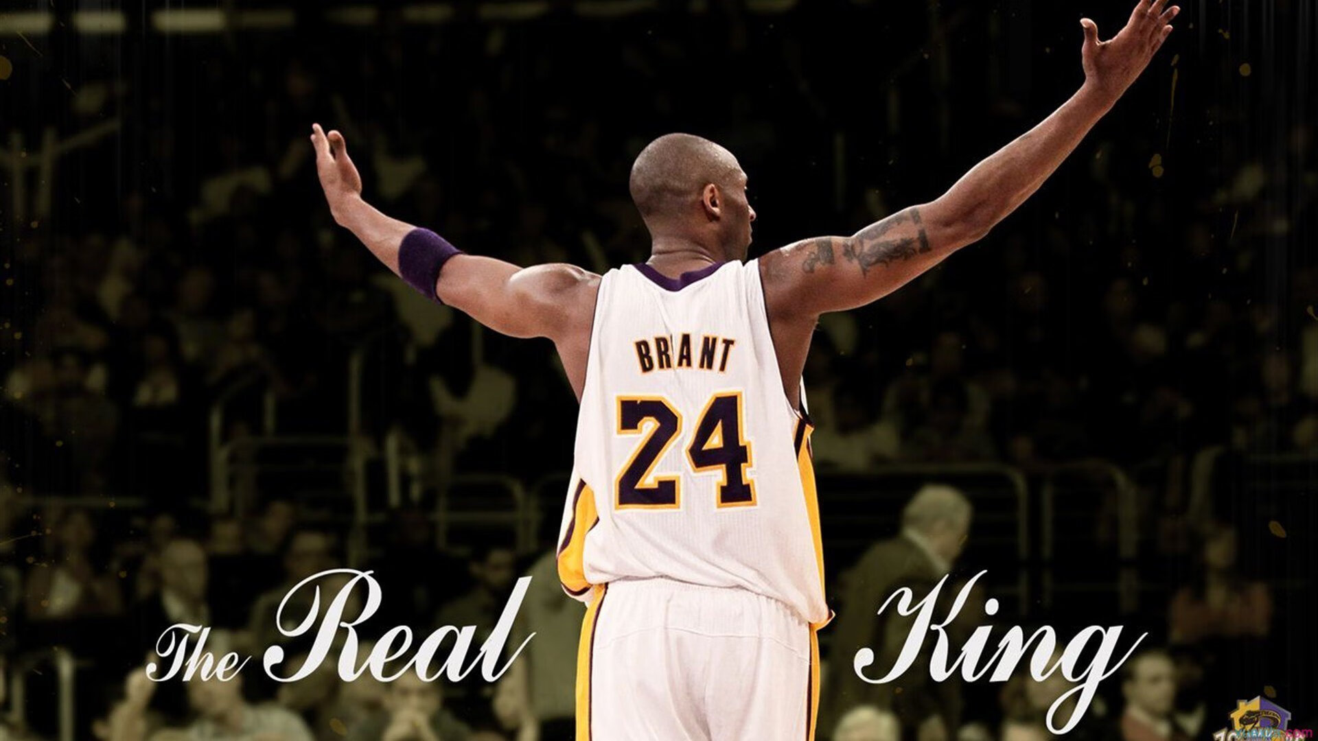 开云体育app下载-“四川省体育馆：拳击赛上的生死对决”